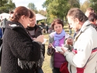 Foto galerijos nuotrauka