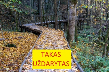 Naujienos nuotrauka