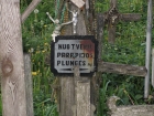 Foto galerijos nuotrauka