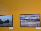 Foto galerijos nuotrauka