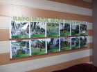 Foto galerijos nuotrauka