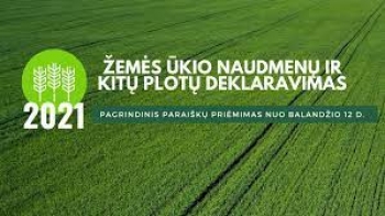 Naujienos nuotrauka